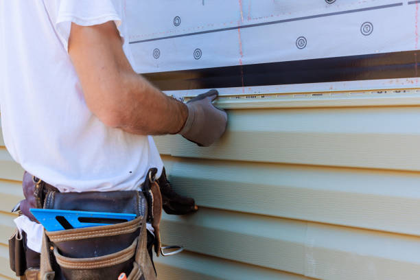 Best Brick Veneer Siding  in Saucier, MS